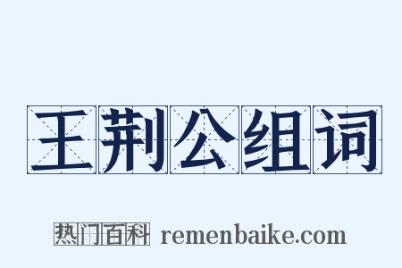 王荆公组词是什么意思的图片